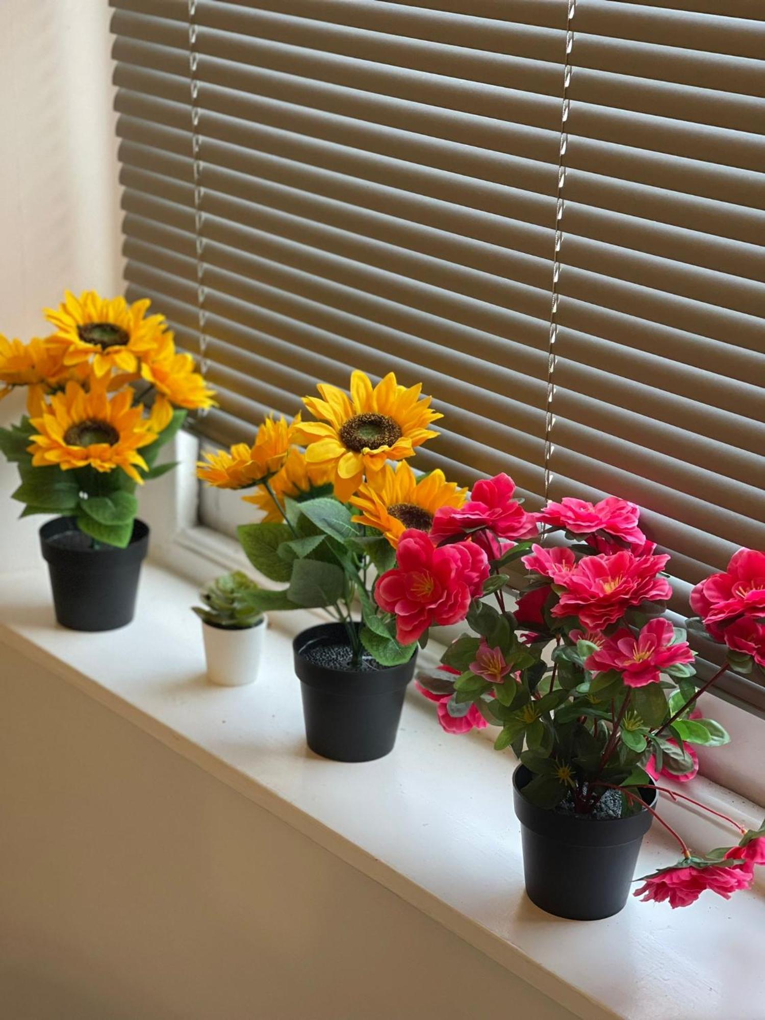 Luxury,Location And Convenience F3 Apartman Bournemouth Kültér fotó